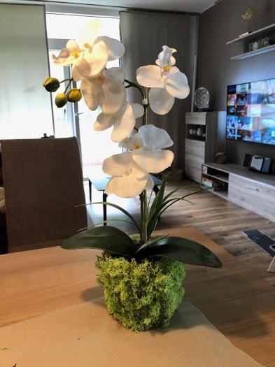De Winter Apartment Bad Harzburg
